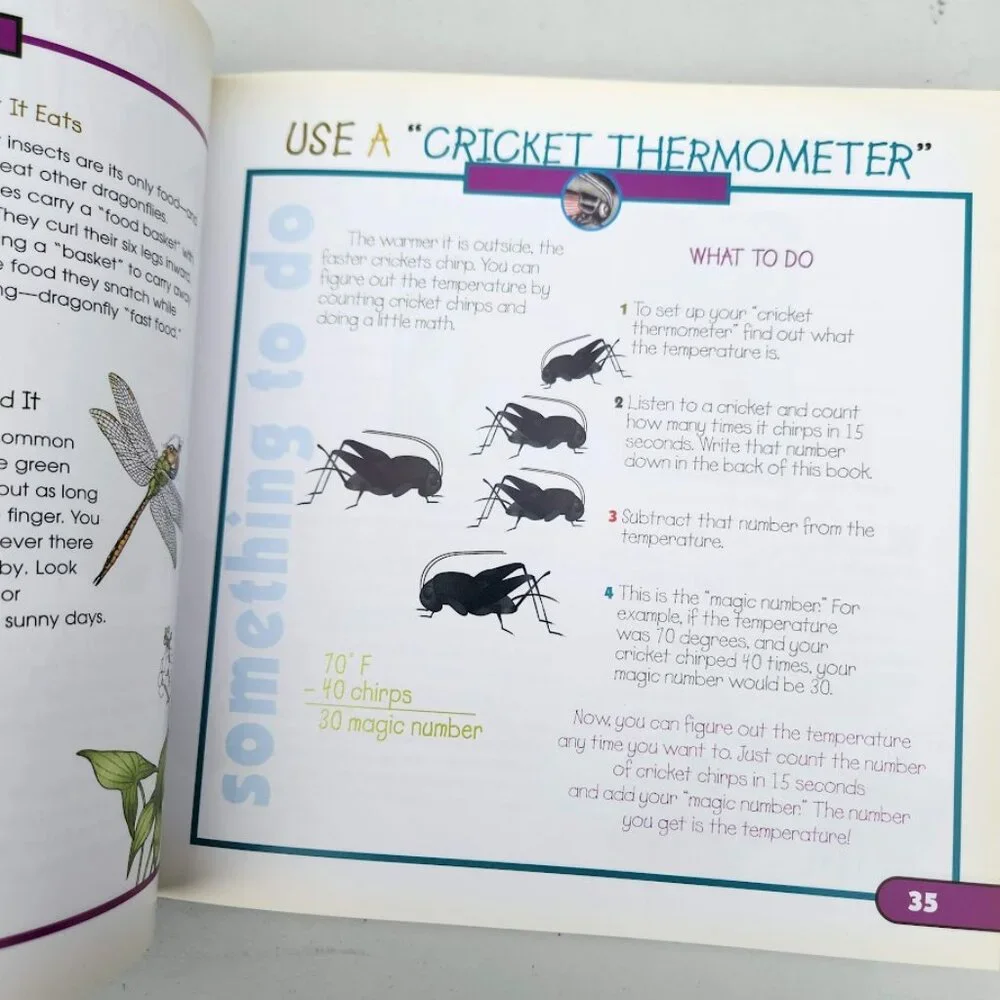 More Fun With Nature Take Along Guides Field Guide Hardcover Book Activity Craft